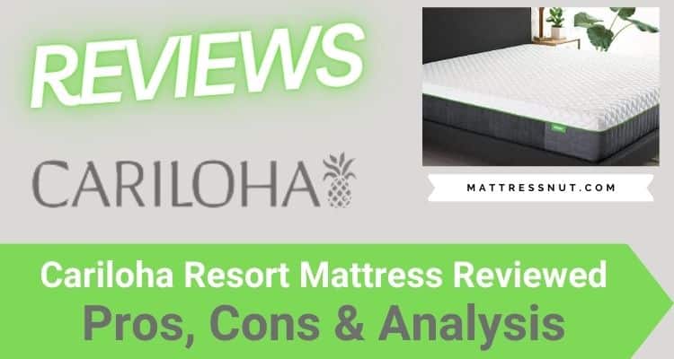 queen cariloha mattress reviews