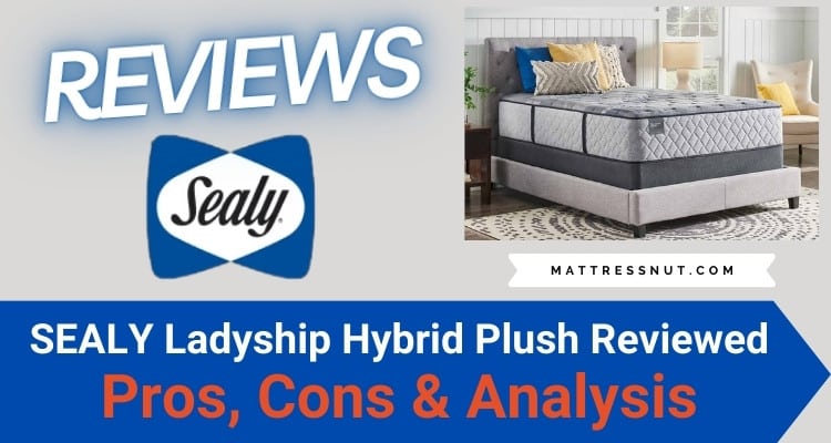 Sealy Ladyship hybrid Plush Reviews