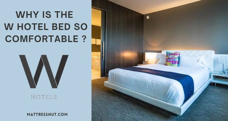 Why is the W Hotel Bed so comfortable