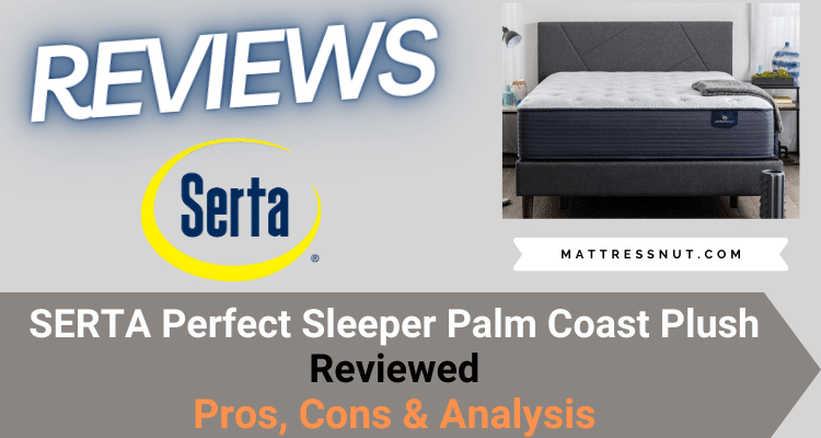 Serta perfect sleeper palm coast plush Reviews