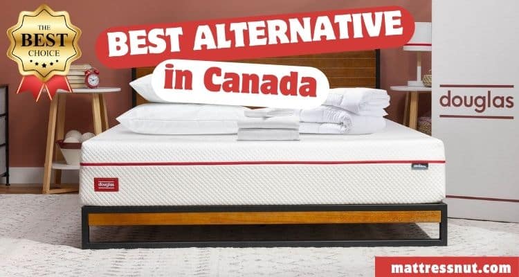 Douglas Mattress the best alternative in Canada