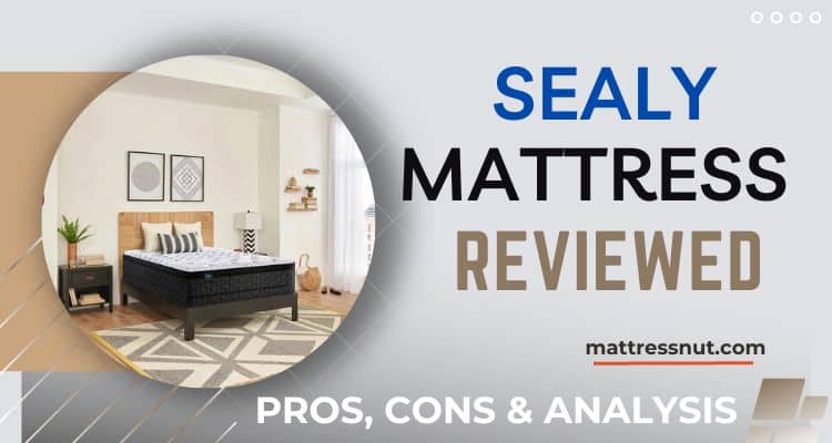 Sealy Hollycourt Mattress Reviews