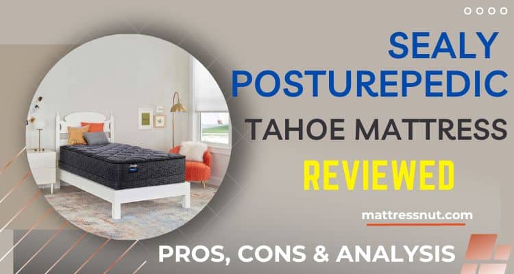 Sealy Posturepedic Tahoe Twin Mattress Reviews
