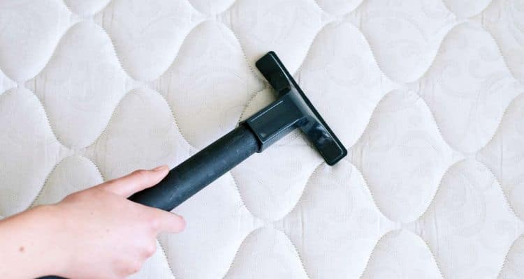 Cleaning Bedding to Avoid Bed Bug Infestations