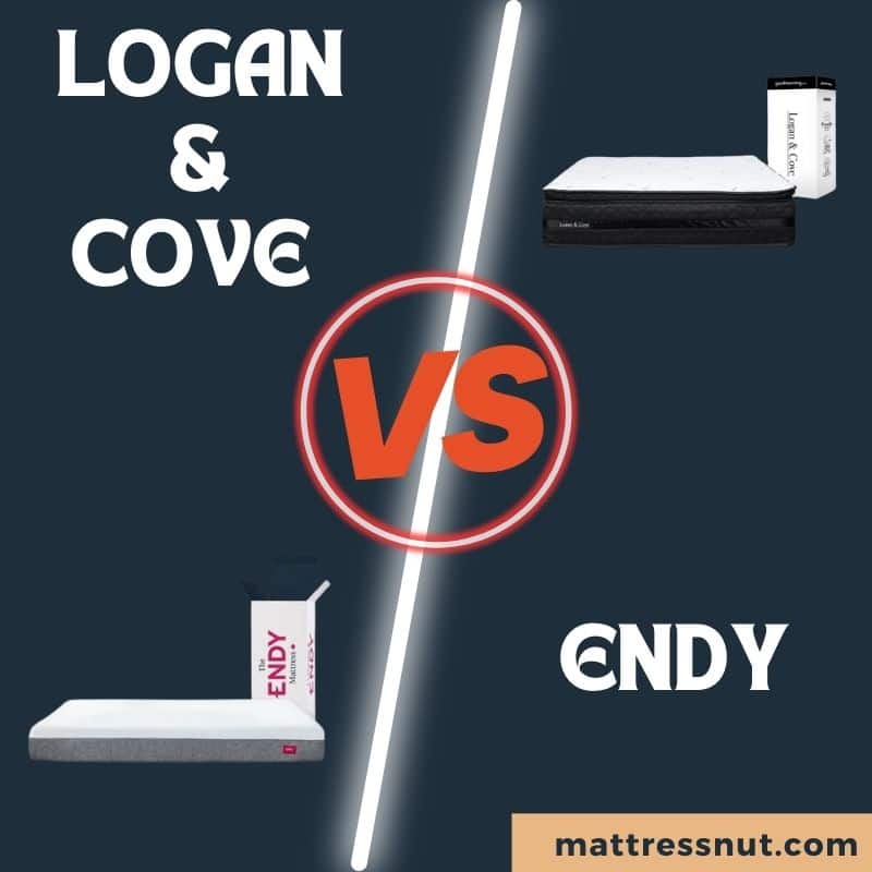 Logan and Cove Vs Endy