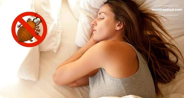When to Hire a Professional Exterminator for Bed Bug Problems on Your Mattress