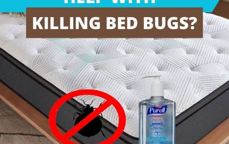 Can Hand Sanitizer Help with Killing Bed Bugs?