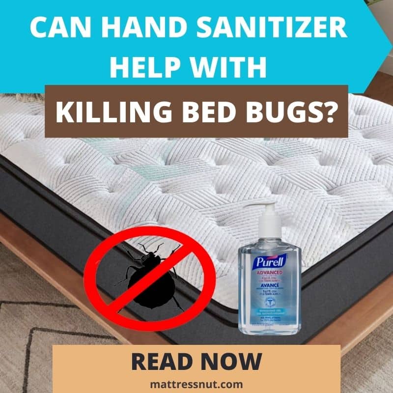 Can Hand Sanitizer Help with Killing Bed Bugs