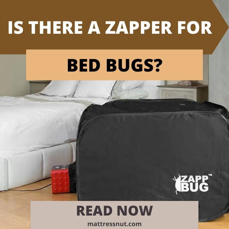 Is There A Zapper For Bed Bugs