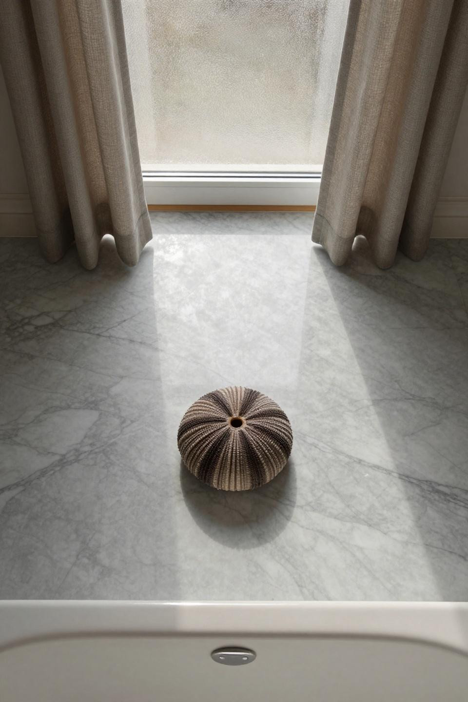 bathroom flooring ideas with large format carrara marble slabs and perfectly preserved fossilized sea urchin spine glinting under skylight
