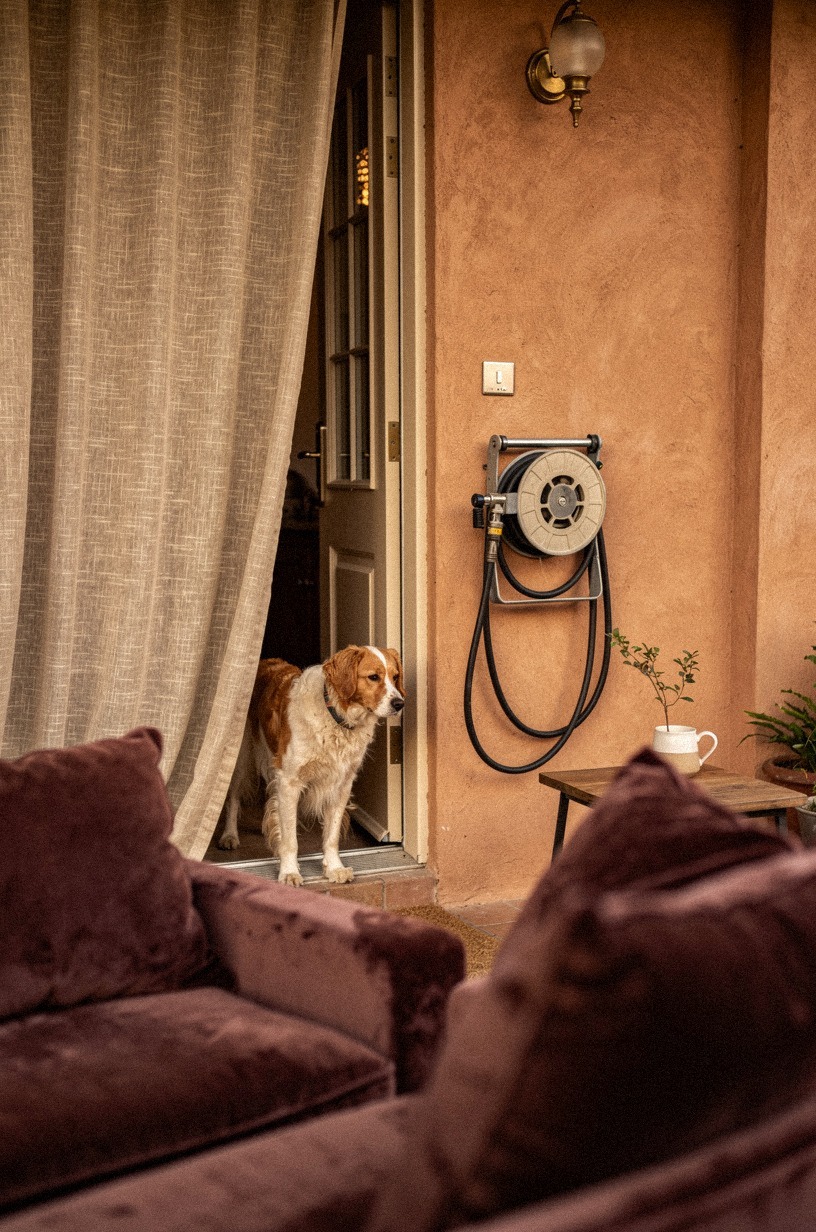 Hang a wall-mounted hose reel by the back door