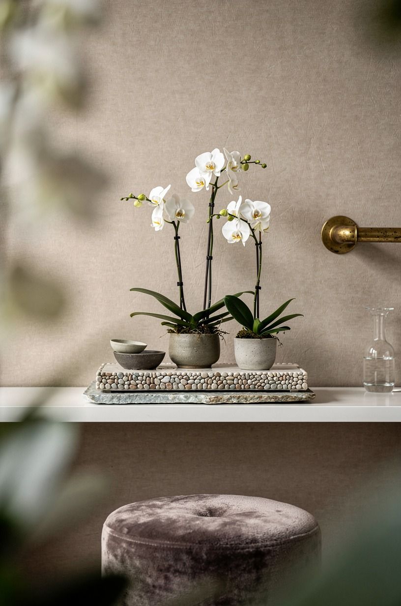 Layer orchids with bathroom-safe pebble trays