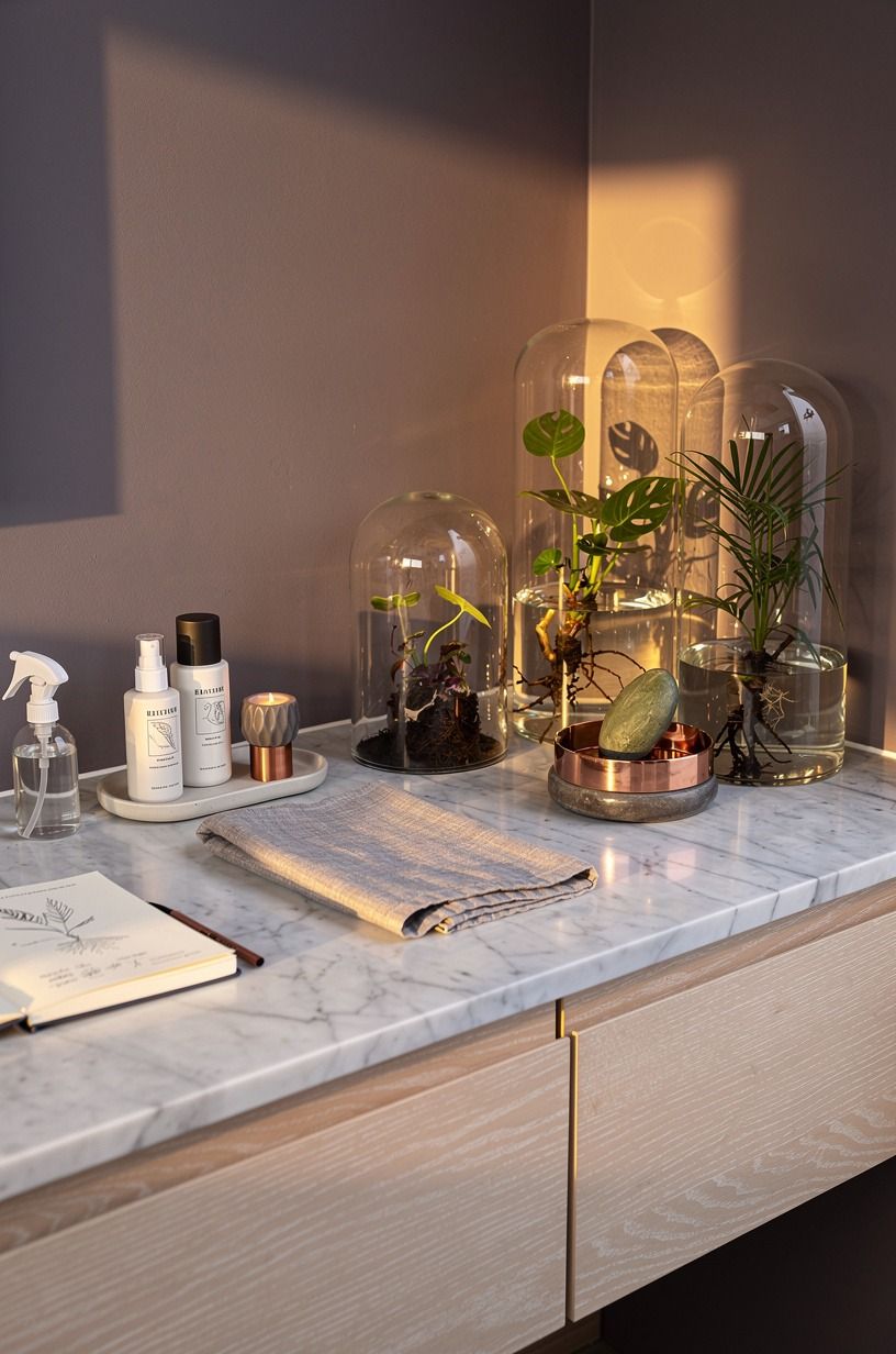 Use glass cloches for humidity-loving cuttings