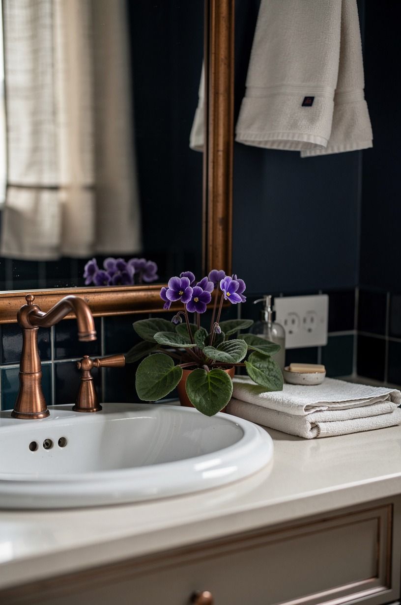 Light the Sink with an African Violet