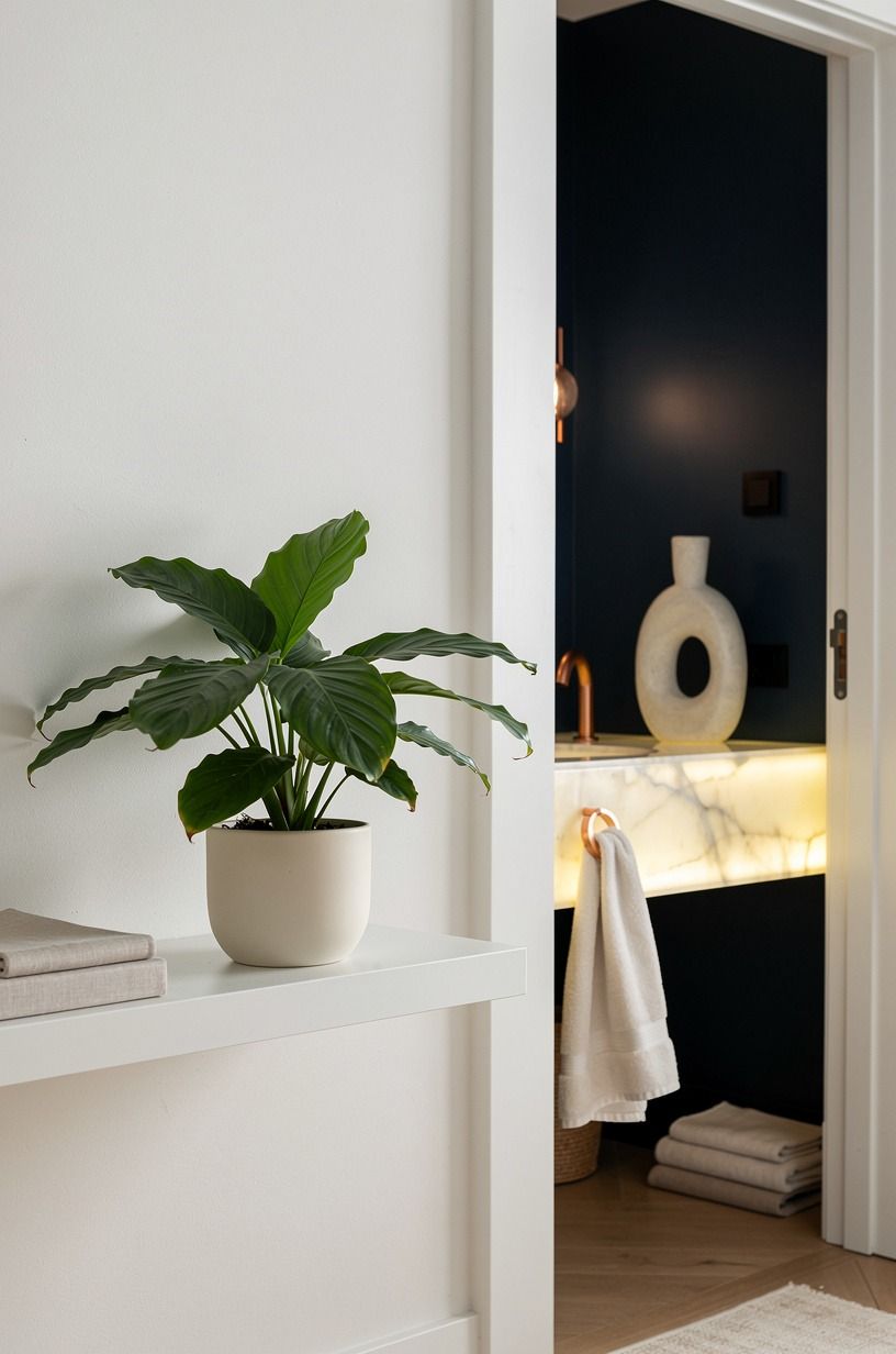 Give Calathea a Filtered-Light Shelf