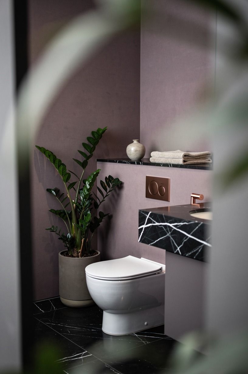 Put a ZZ Plant Near the Toilet Wall