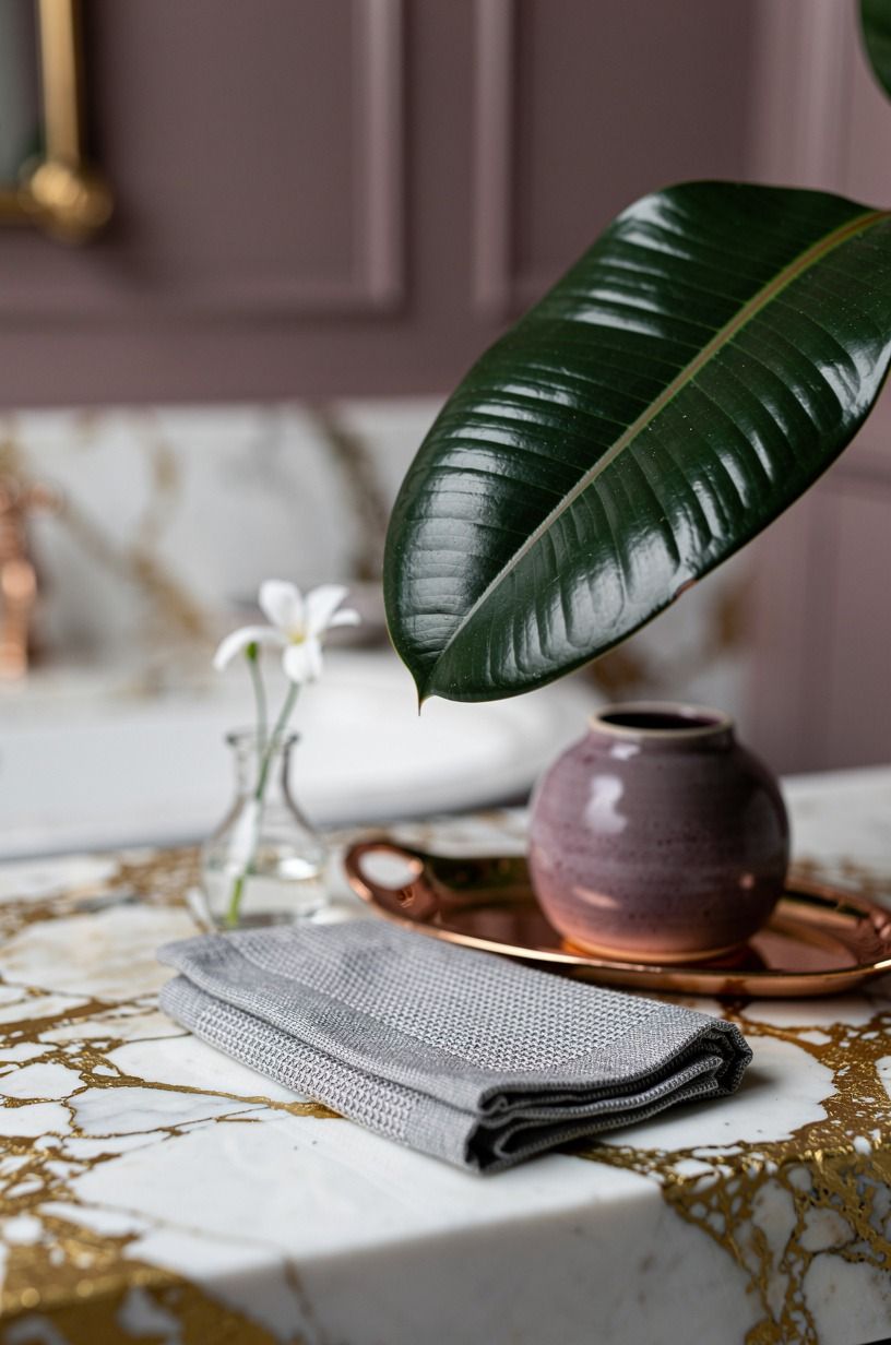 Try the One-Leaf Rule with Rubber Plants