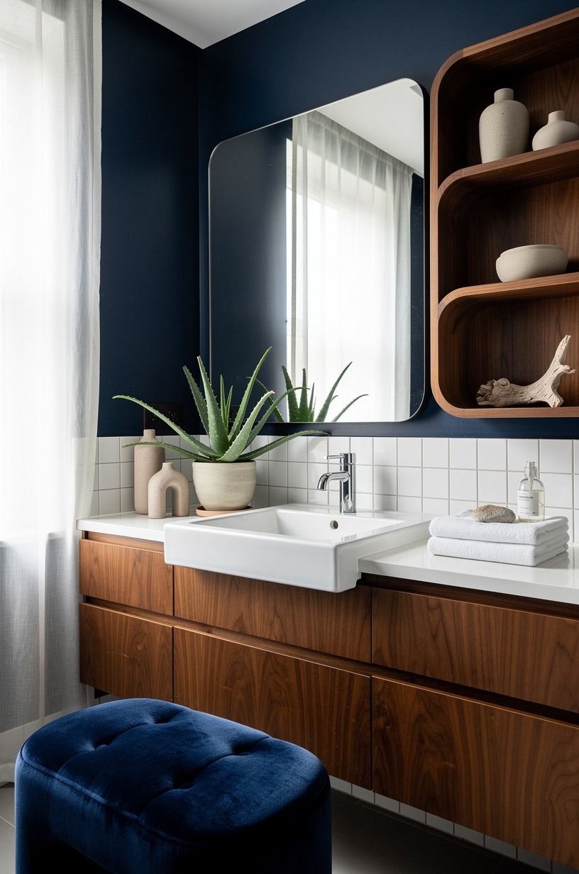 Why Does Aloe Belong by a Sunny Sink?